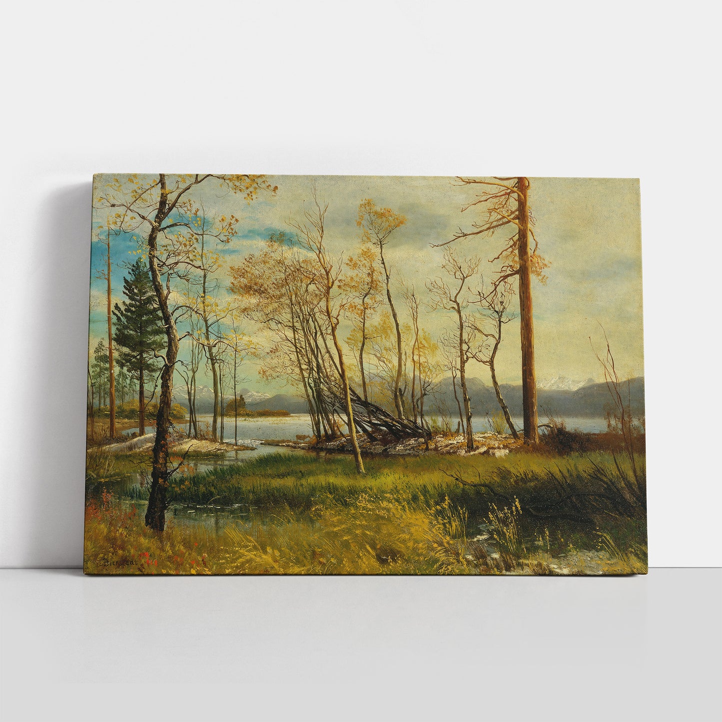 Lake Tahoe (1872) – Albert Bierstadt