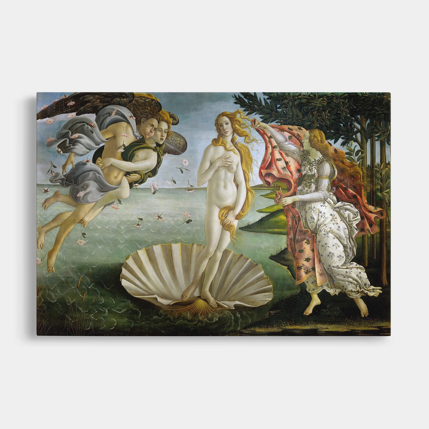 Birth of Venus (1480) – Sandro Botticelli