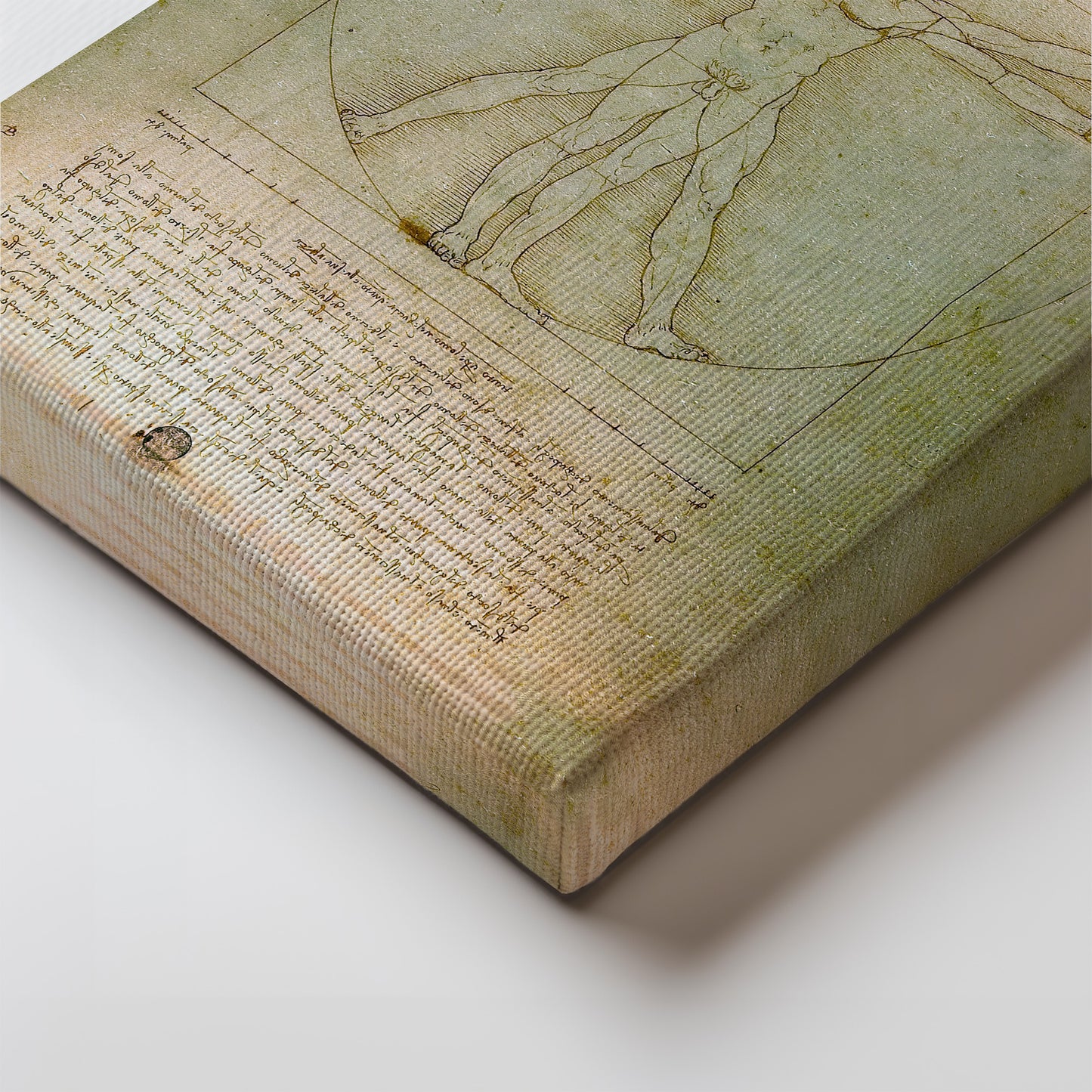 Vitruvian Man – Leonardo da Vinci, Classic Art Reproduction