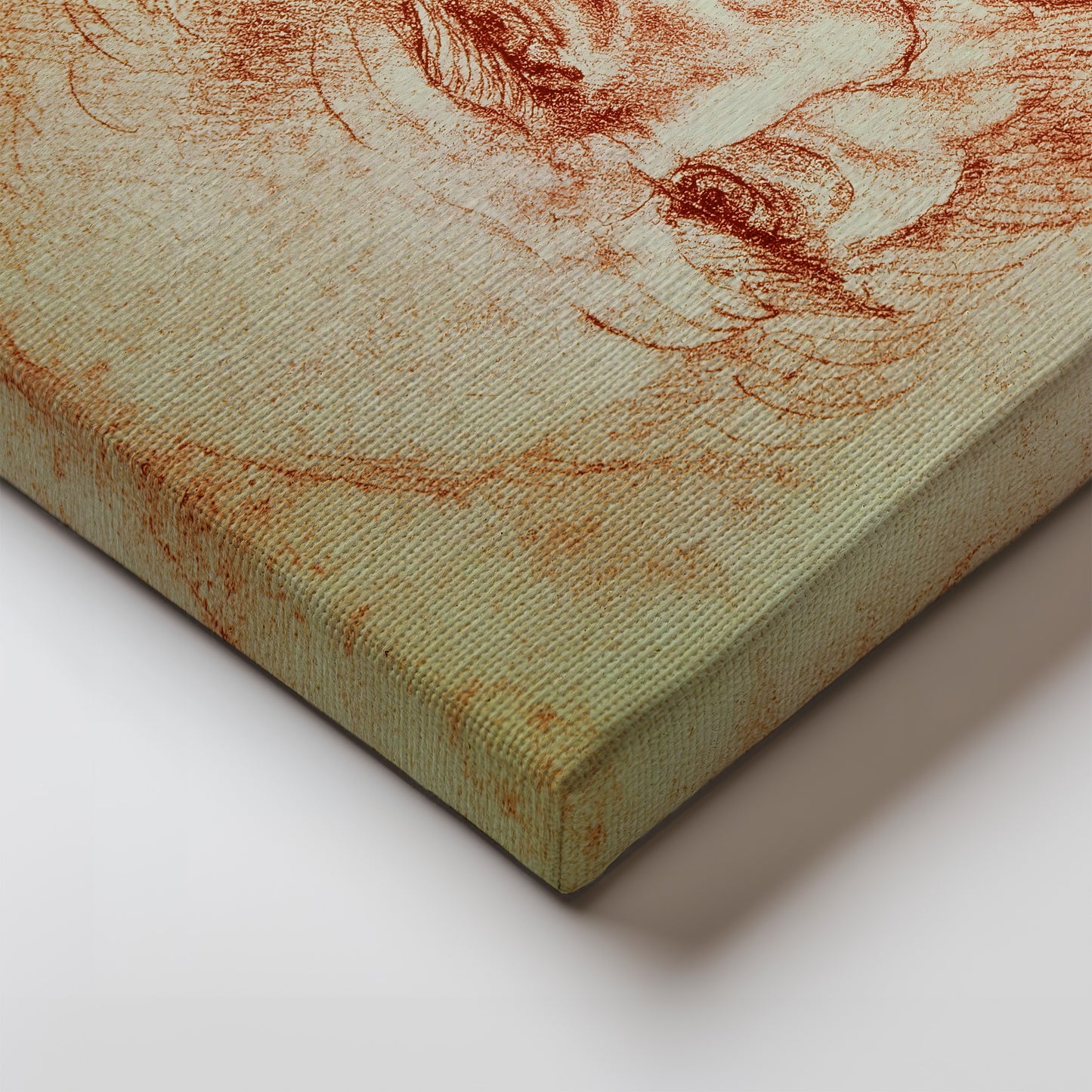 Leonardo da Vinci Self Portrait – Leonardo da Vinci, Classic Art Reproduction