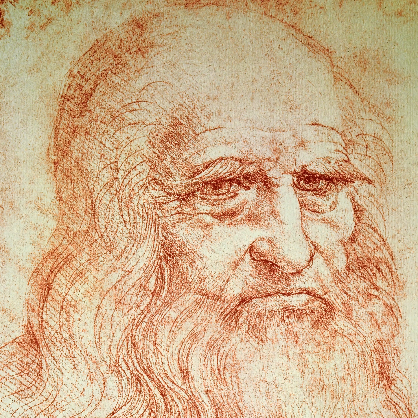 Leonardo da Vinci Self Portrait – Leonardo da Vinci, Classic Art Reproduction