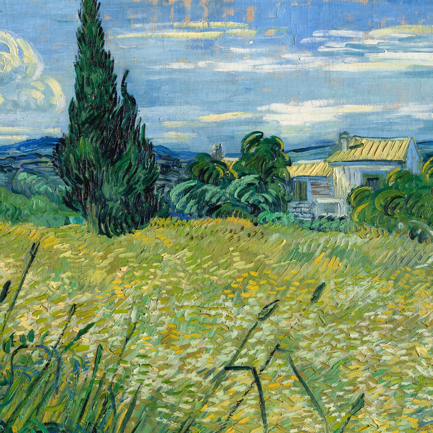 Green Field – Vincent van Gogh, Classic Art Reproduction