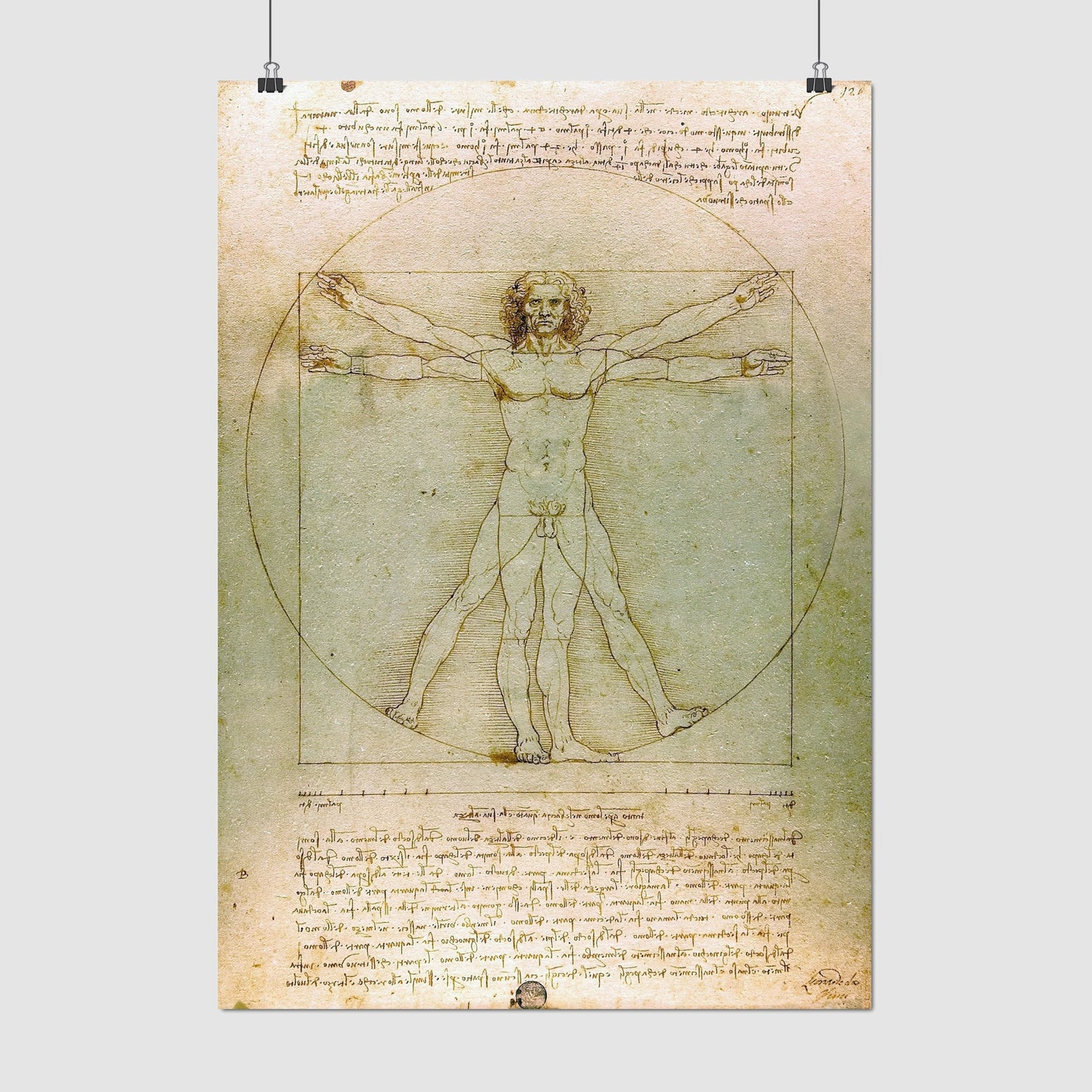Vitruvian Man – Leonardo da Vinci, Classic Art Reproduction