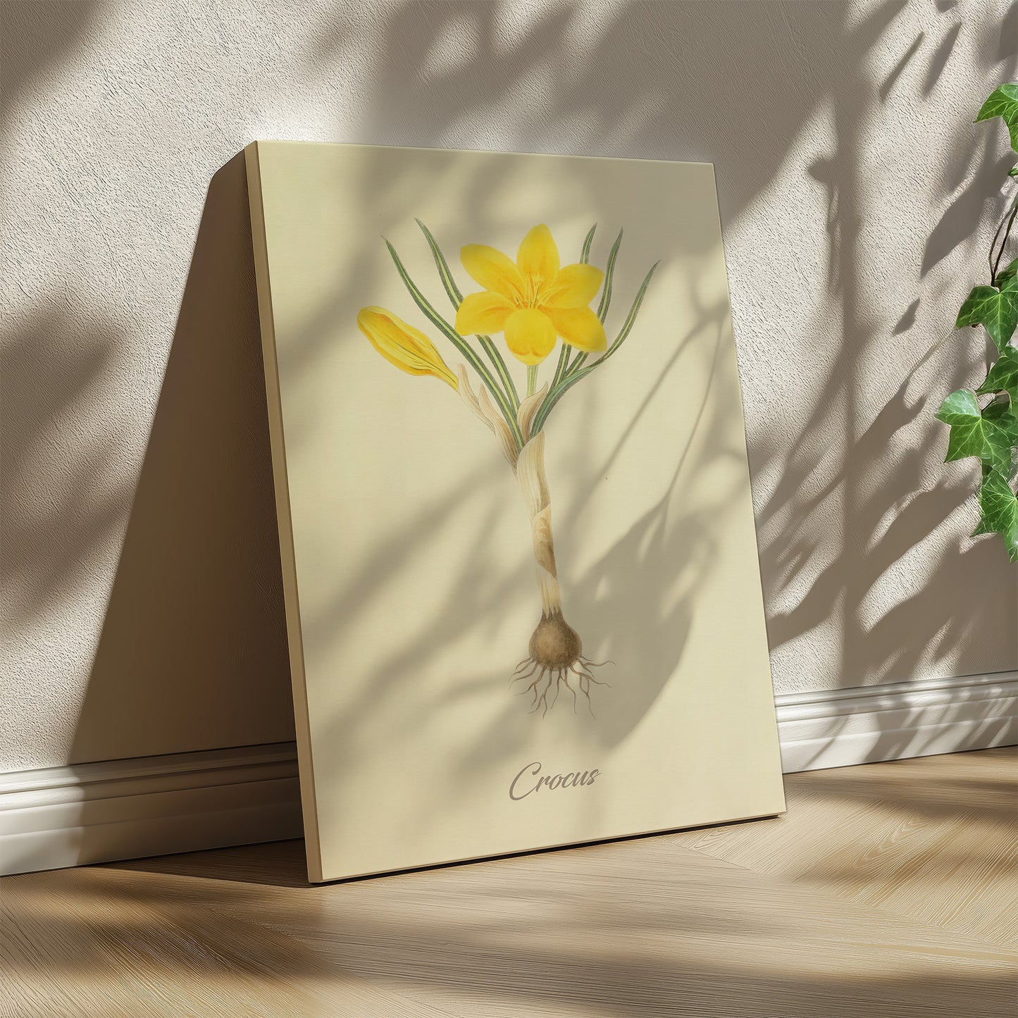 Crocus, botanical illustration (1829) – Margaret Roscoe