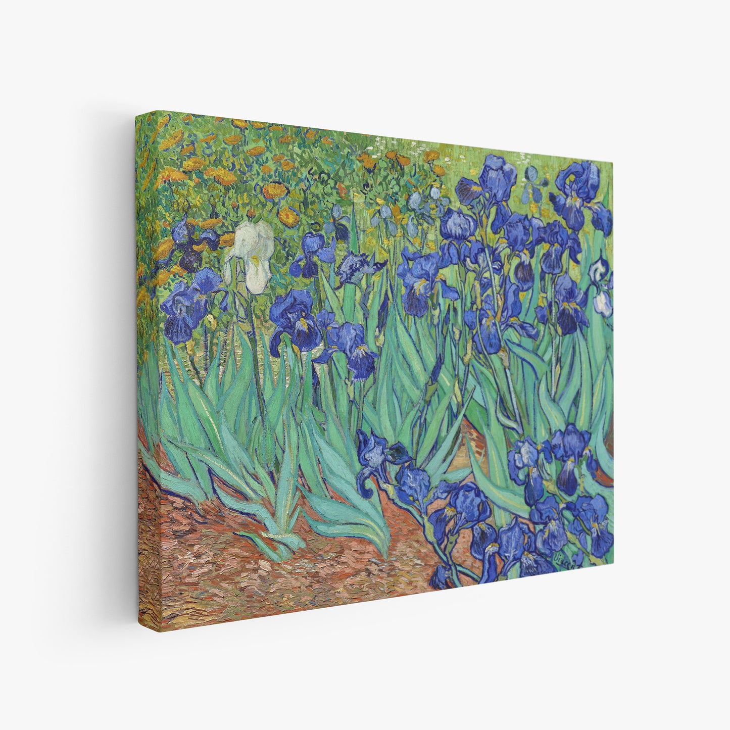 Irises (1889) – Vincent van Gogh
