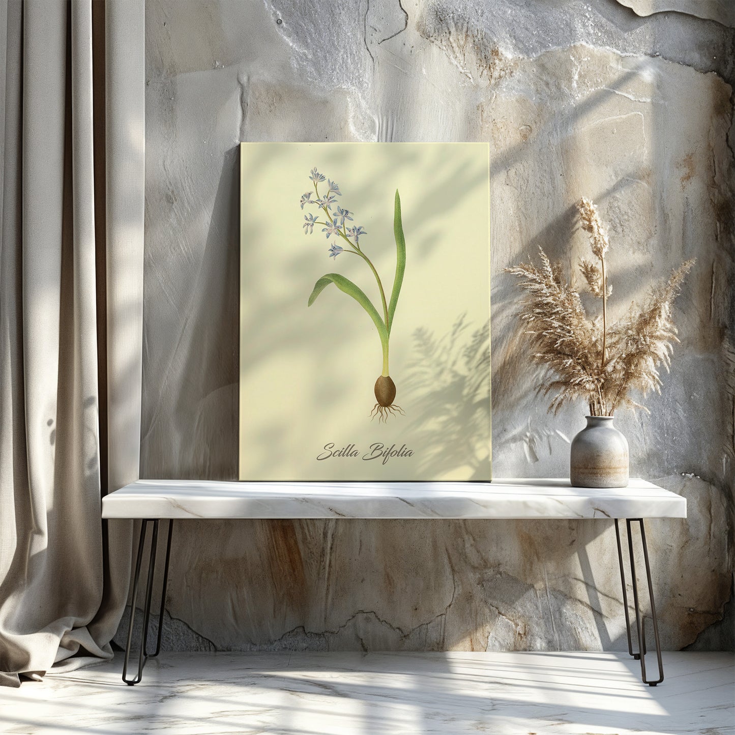 Scilla Bifolia, botanical illustration (1829) – Margaret Roscoe