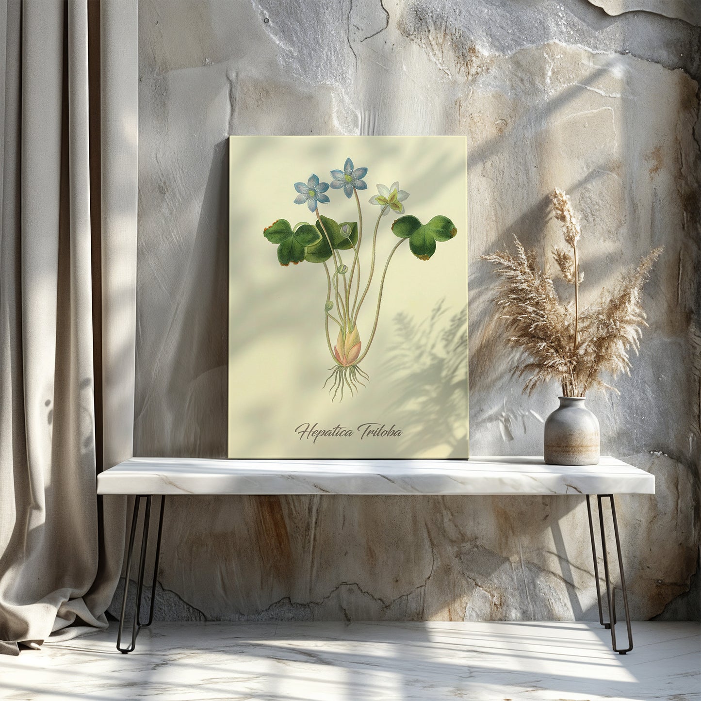 Hepatica Triloba, botanical illustration (1829) – Margaret Roscoe