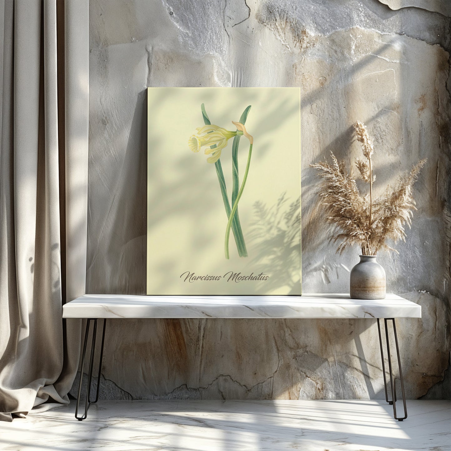 Narcissus Moschatus, botanical illustration (1829) – Margaret Roscoe