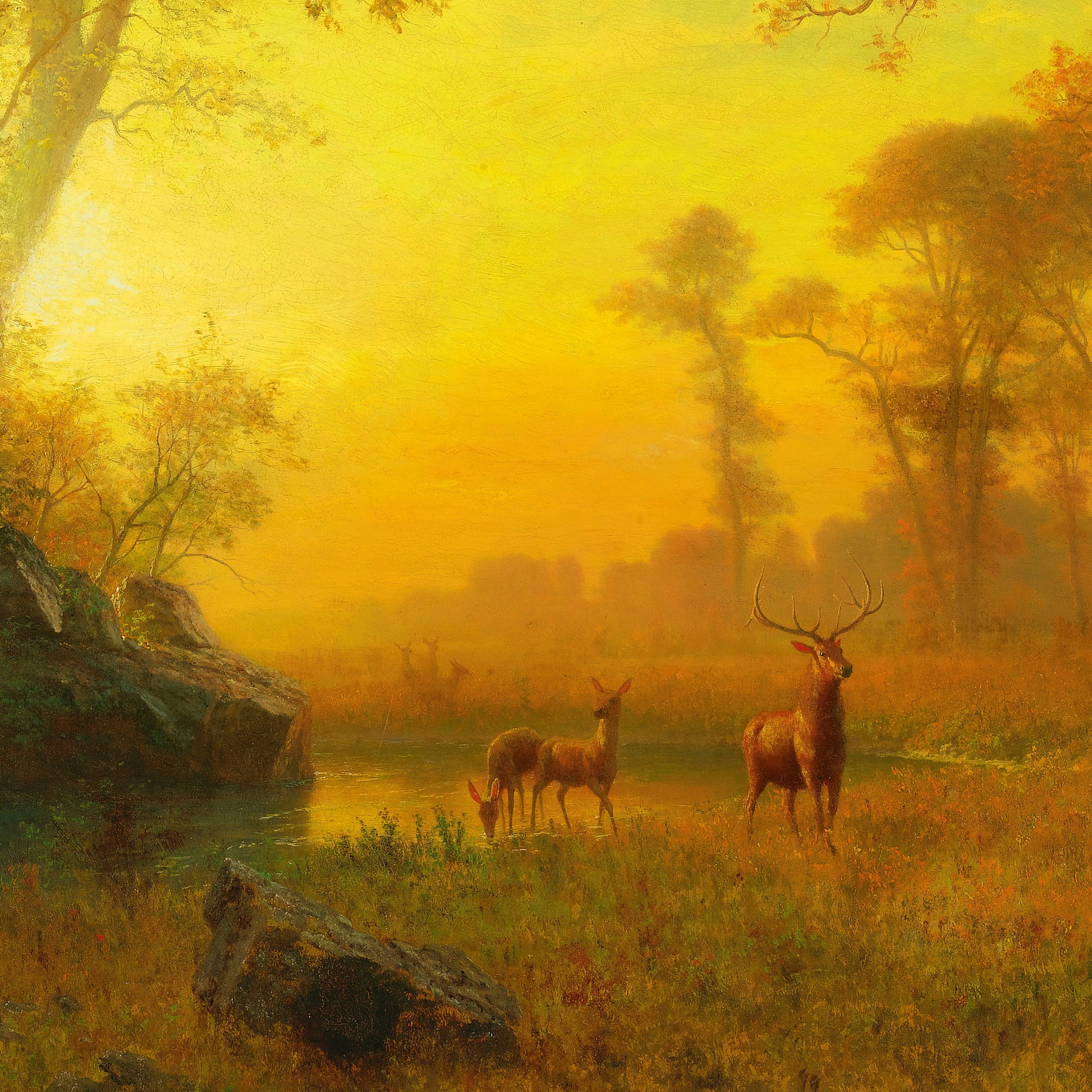 Light in the Forest – Albert Bierstadt, Classic Art Reproduction