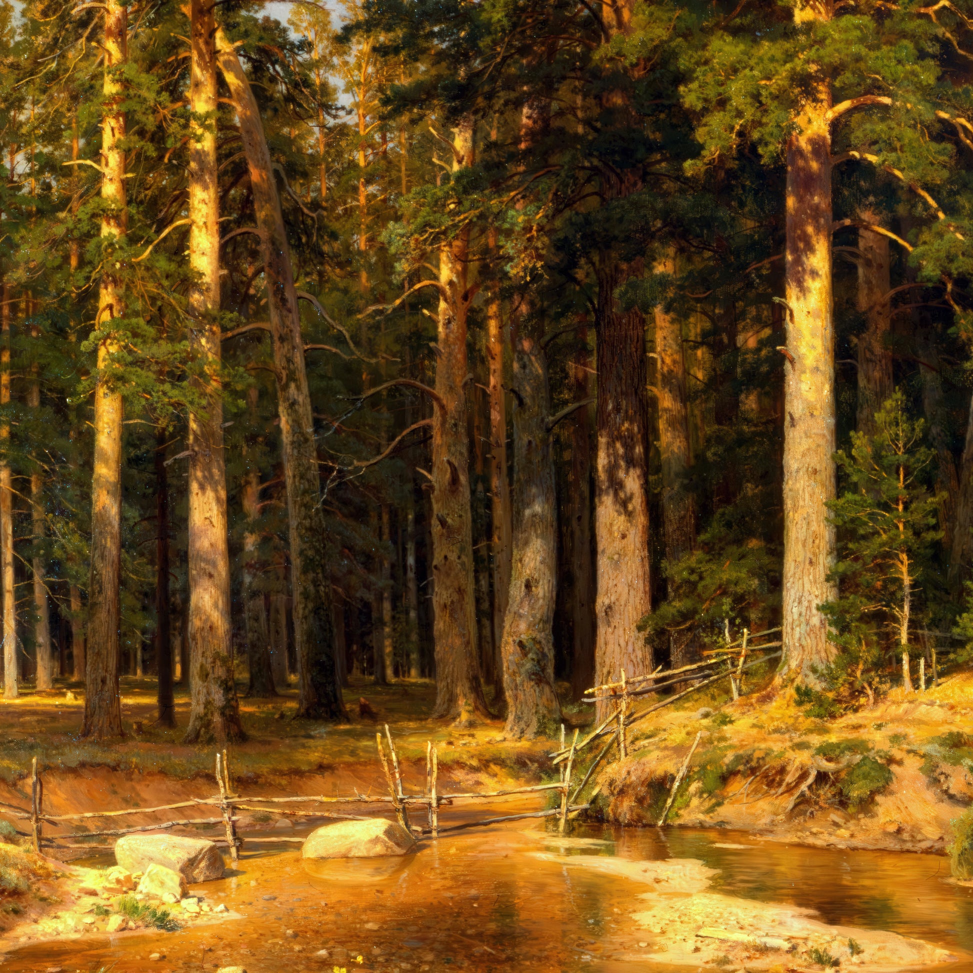 Mast-Tree grove – Ivan Shishkin, Classic Art Reproduction