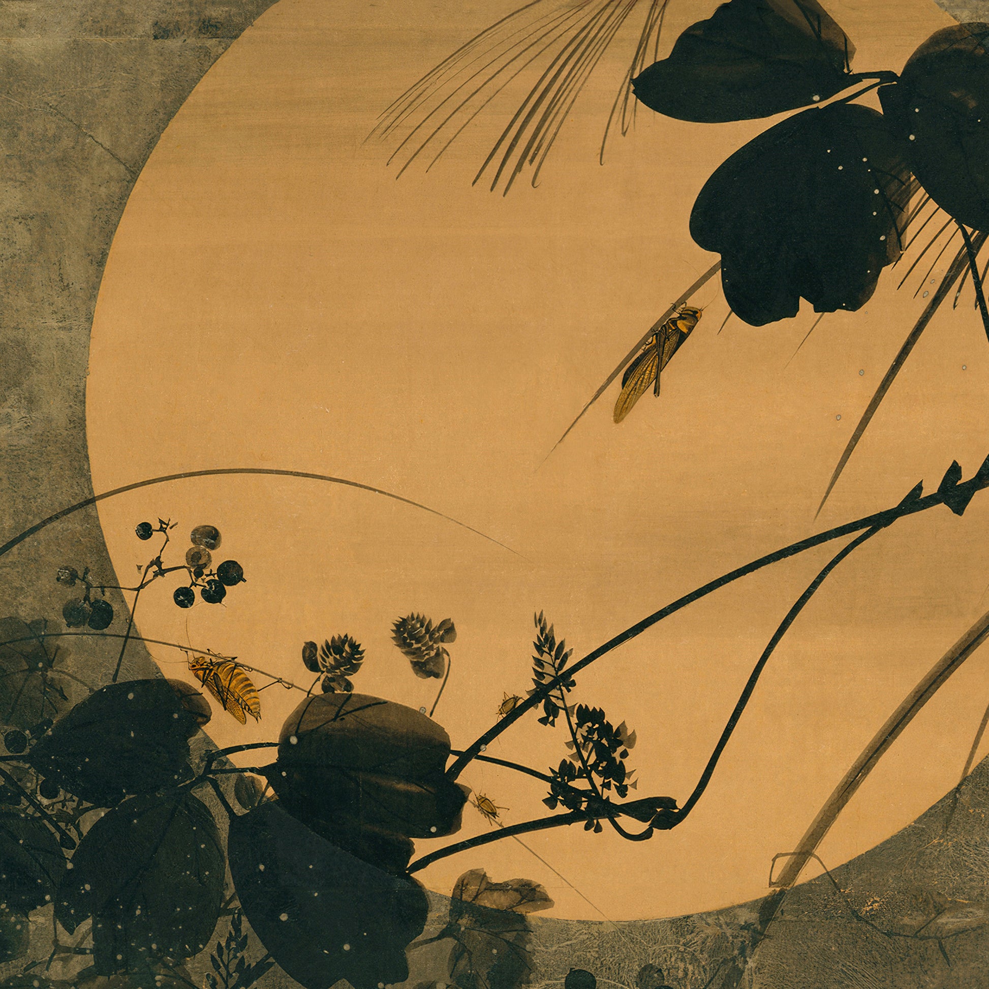 Autumn Grasses in Moonlight – Shibata Zeshin, Classic Art Reproduction
