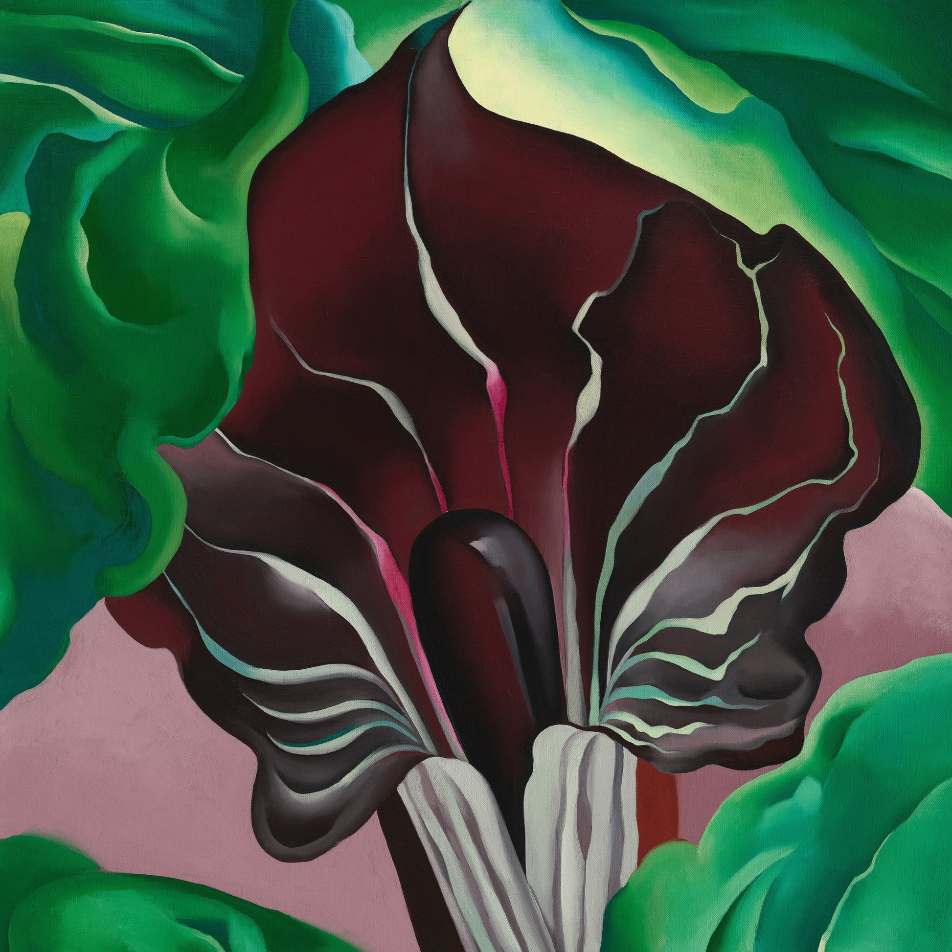 Jack-in-Pulpit - No. 2 (1930) – Georgia O'Keeffe