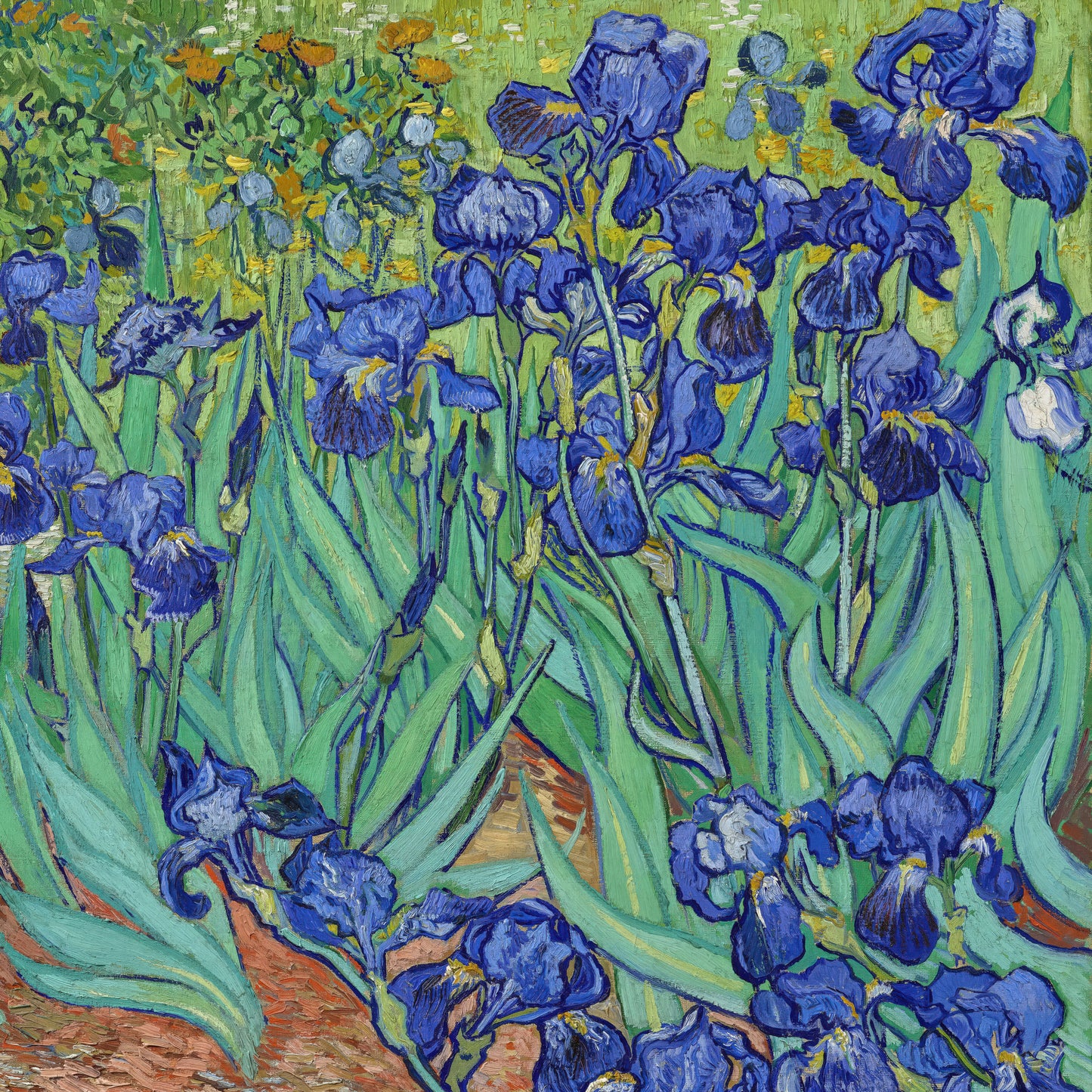 Irises (1889) – Vincent van Gogh