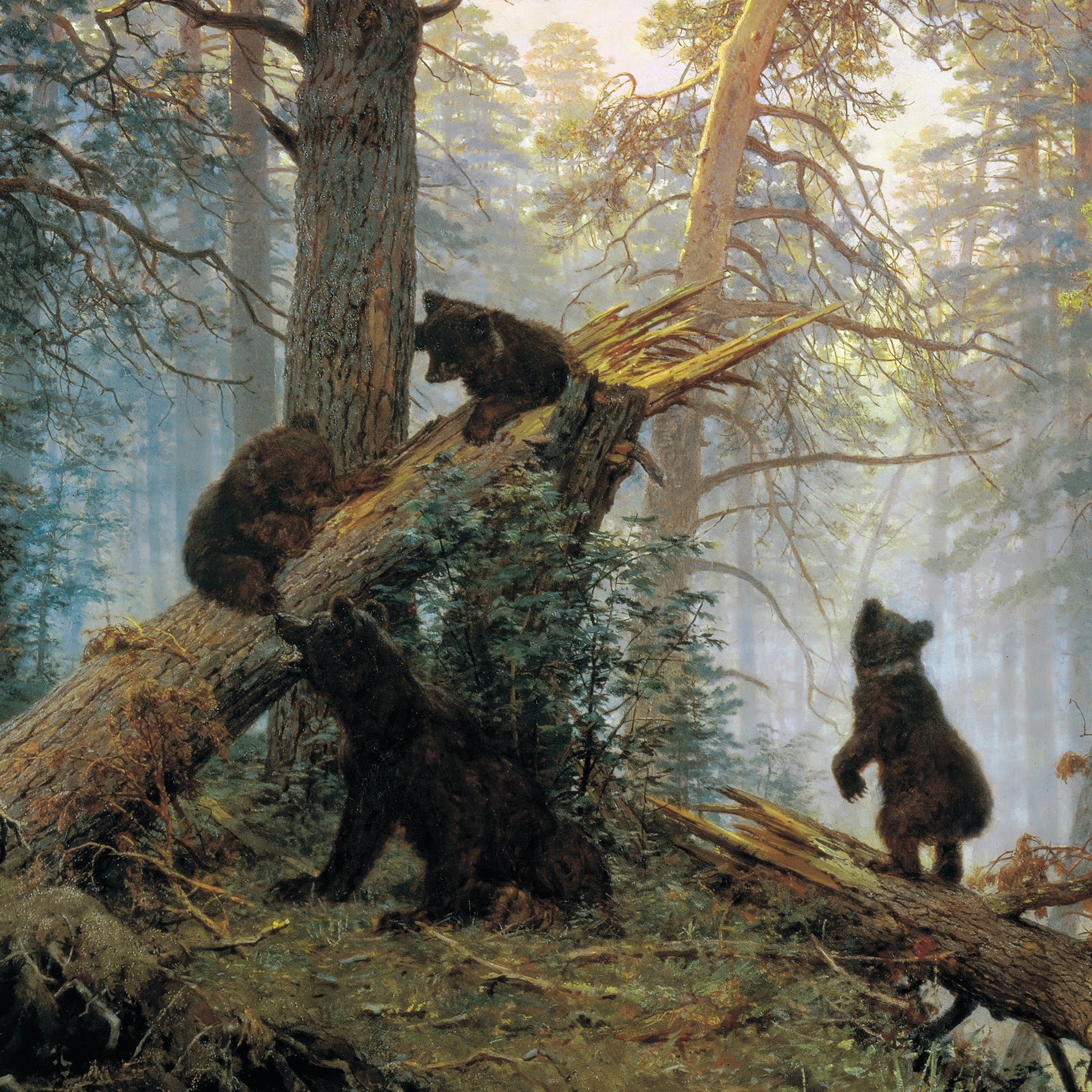 Morning in a Pine Forest – Ivan Shishkin, Classic Art Reproduction