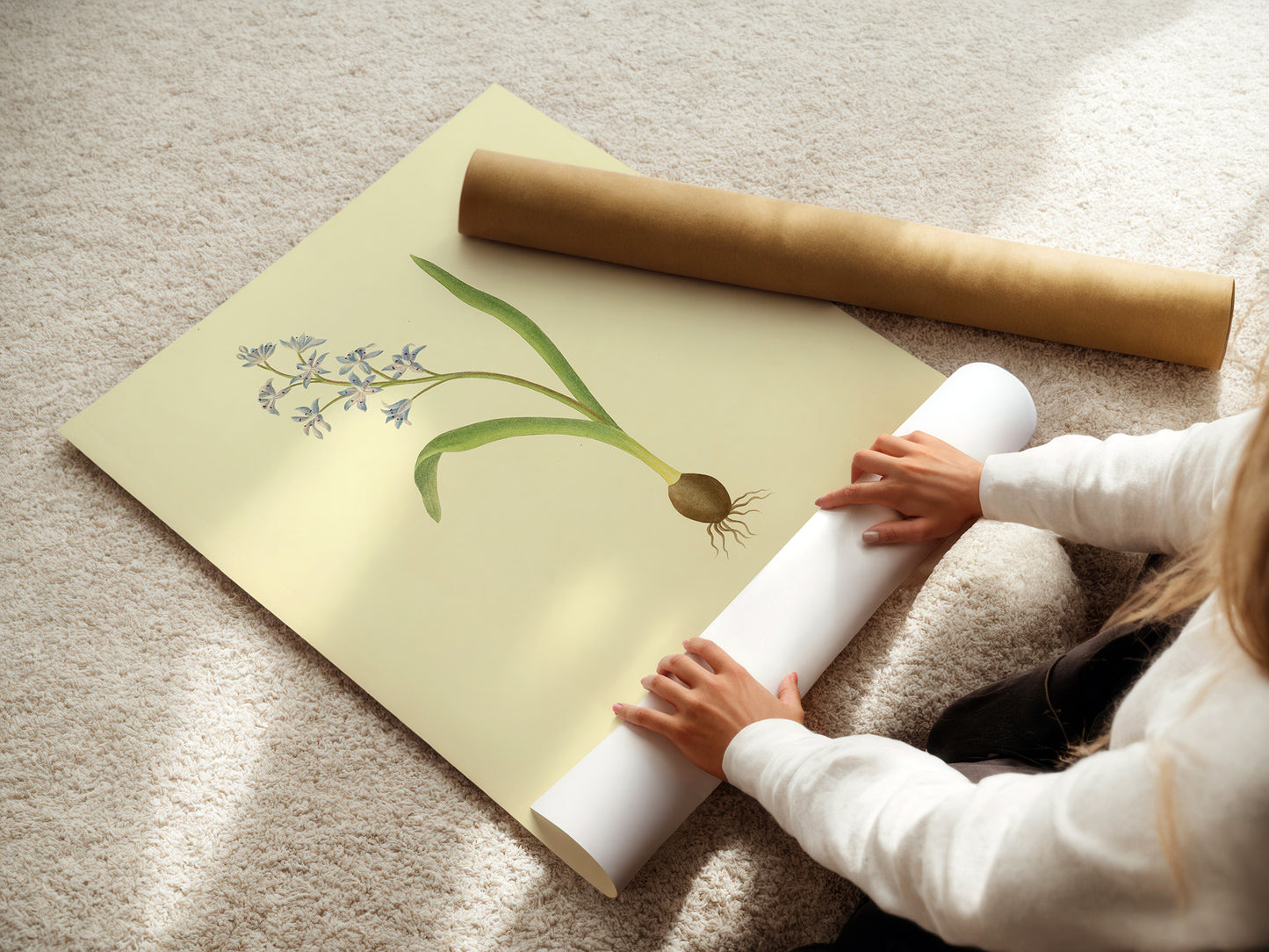 Scilla Bifolia, botanical illustration (1829) – Margaret Roscoe