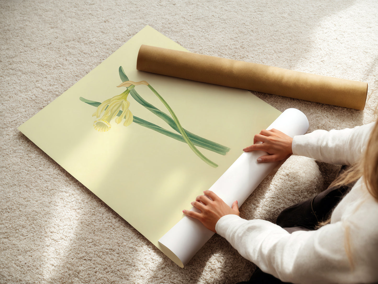 Narcissus Moschatus, botanical illustration (1829) – Margaret Roscoe