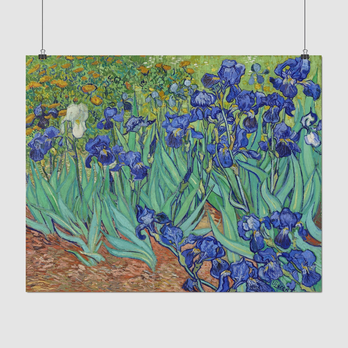 Irises (1889) – Vincent van Gogh
