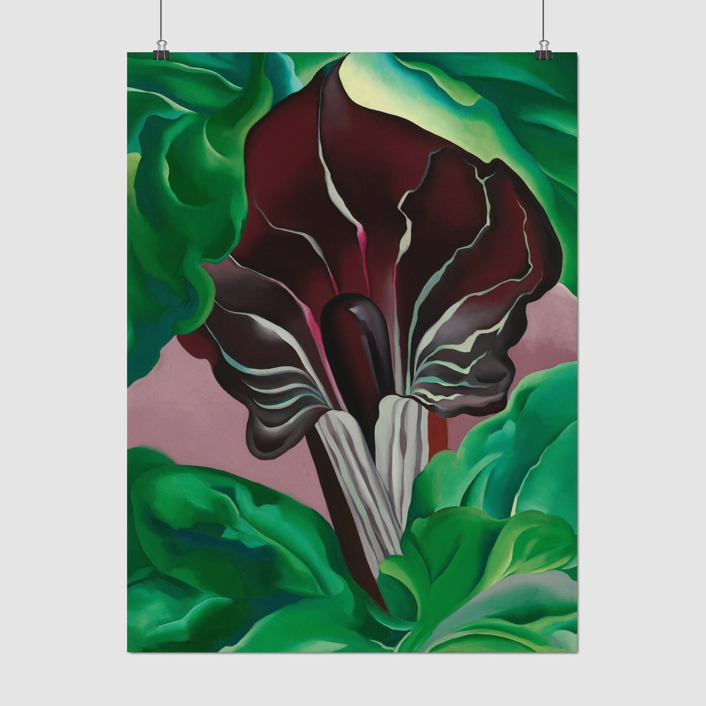 Jack-in-Pulpit - No. 2 (1930) – Georgia O'Keeffe
