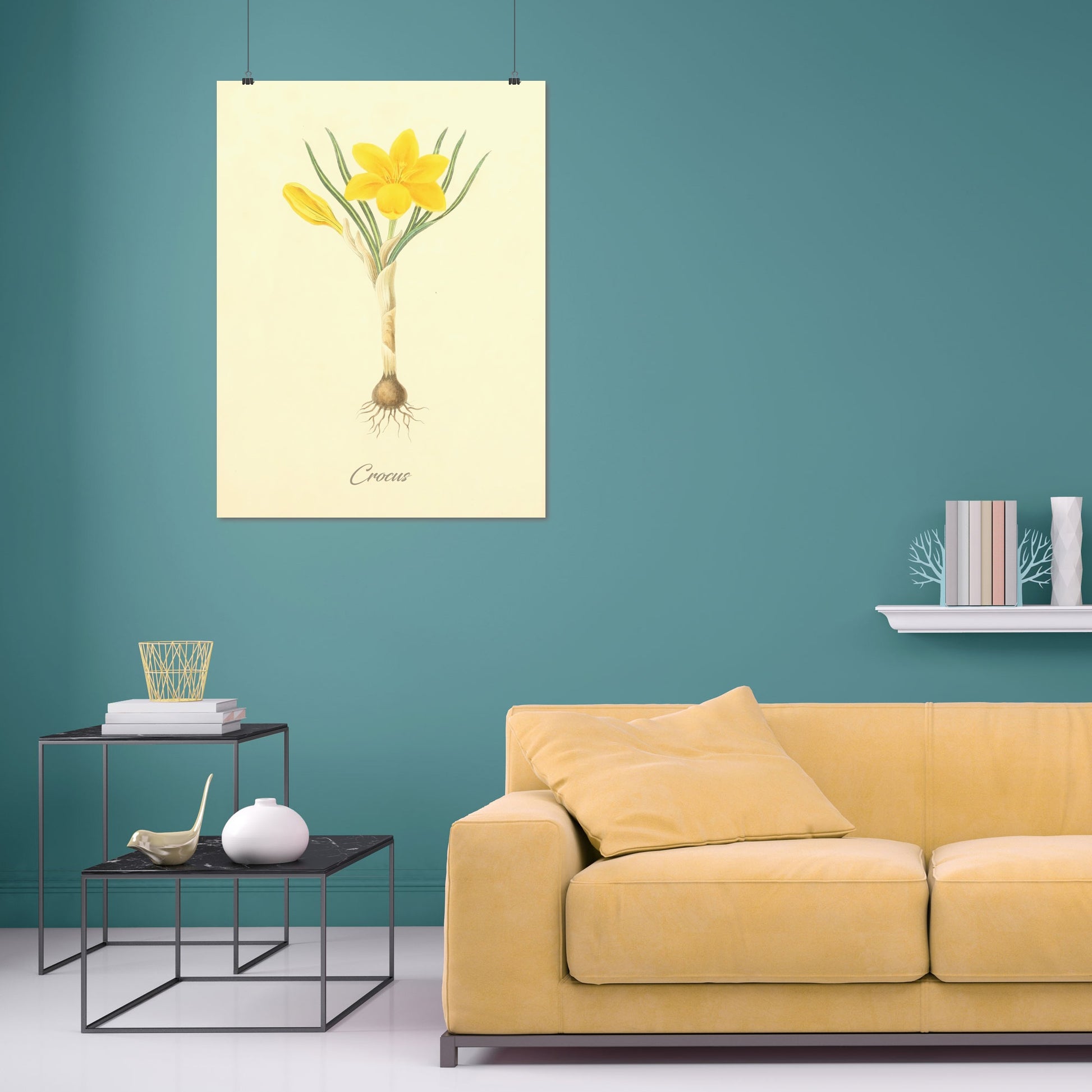 Crocus, botanical illustration (1829) – Margaret Roscoe