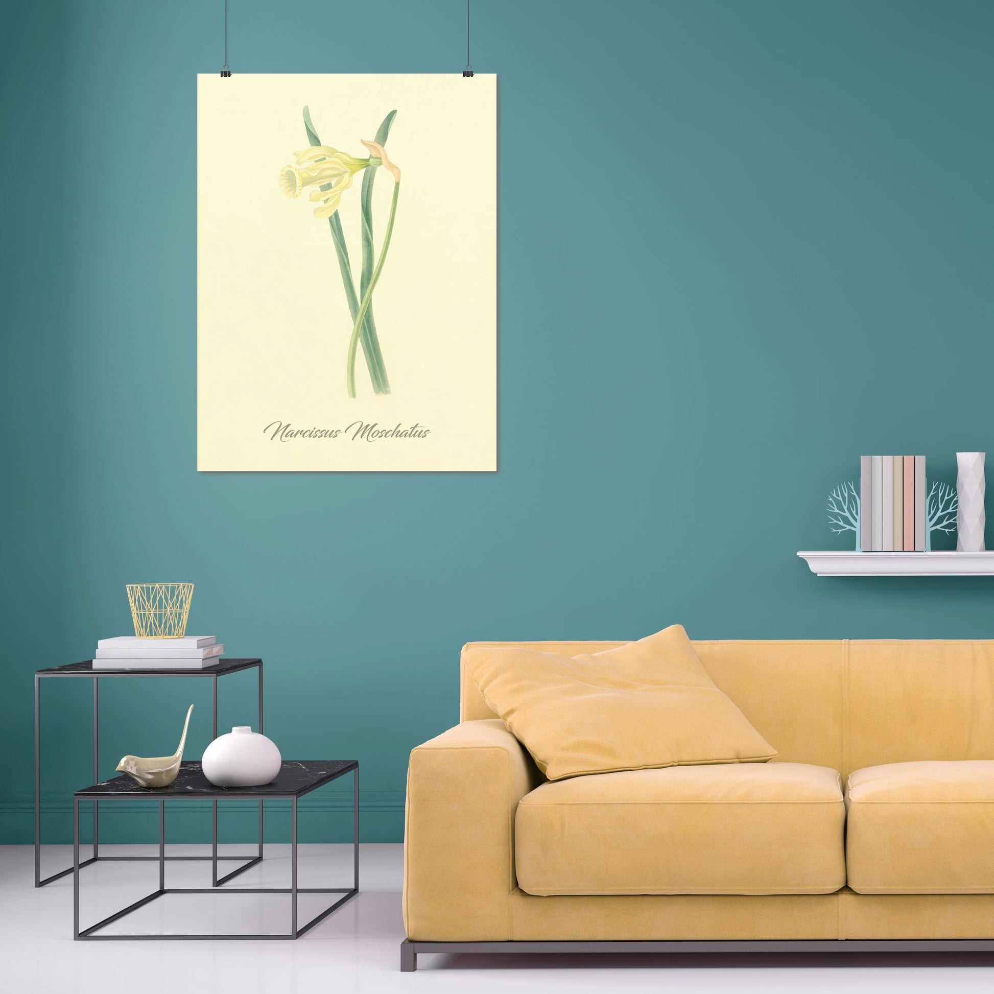 Narcissus Moschatus, botanical illustration (1829) – Margaret Roscoe