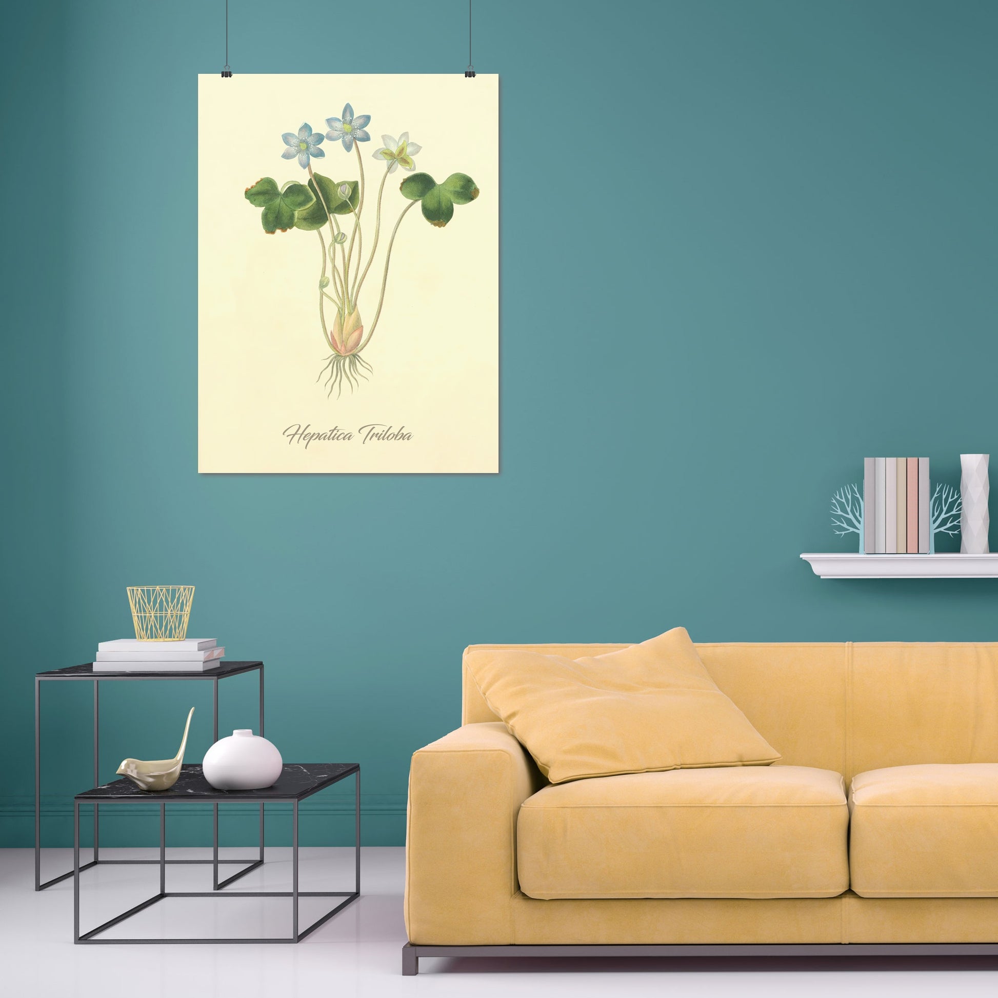 Hepatica Triloba, botanical illustration (1829) – Margaret Roscoe