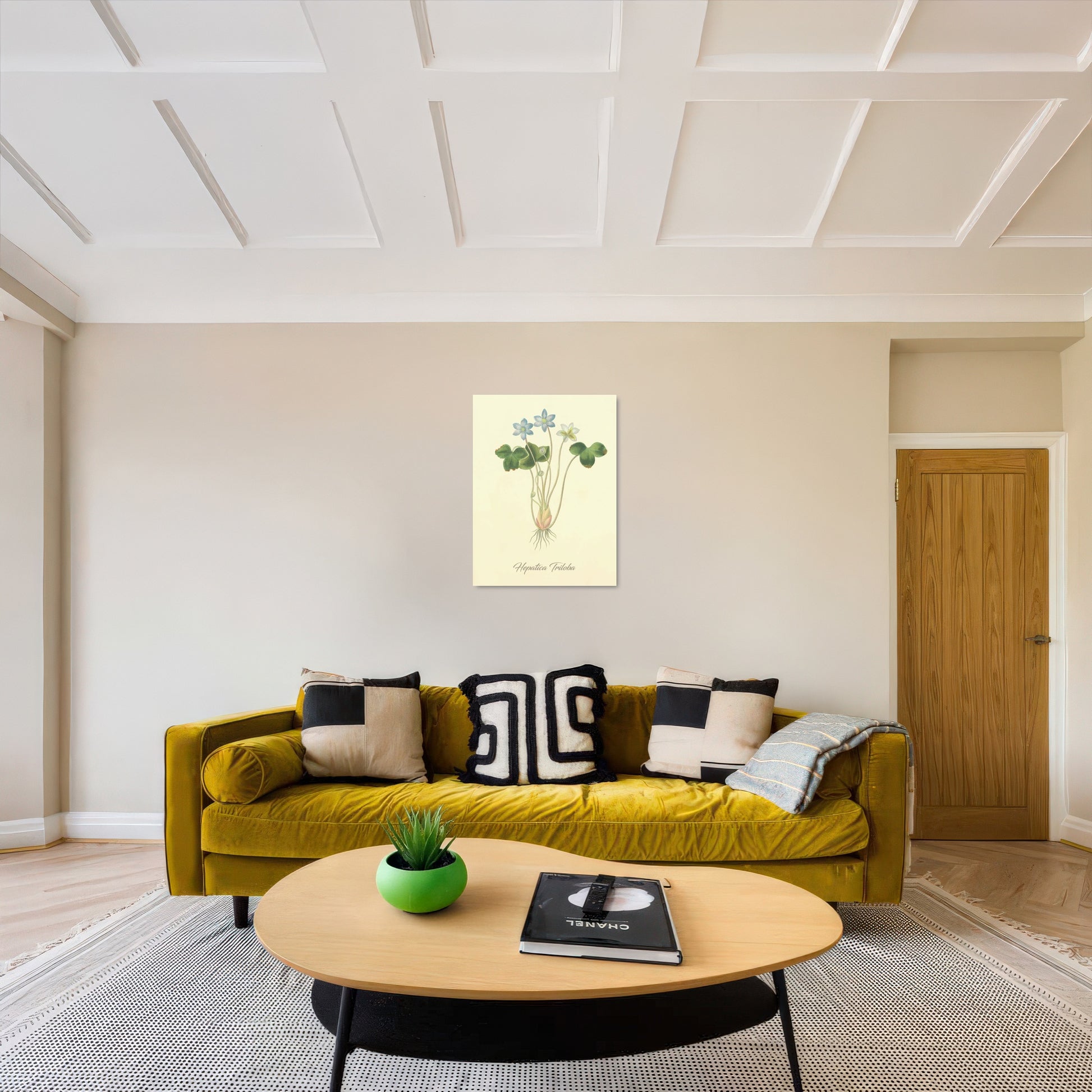 Hepatica Triloba, botanical illustration (1829) – Margaret Roscoe